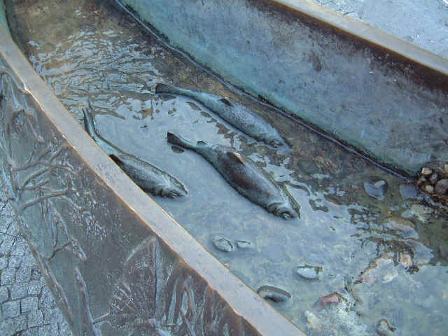 3Fish.jpg (40652 bytes)