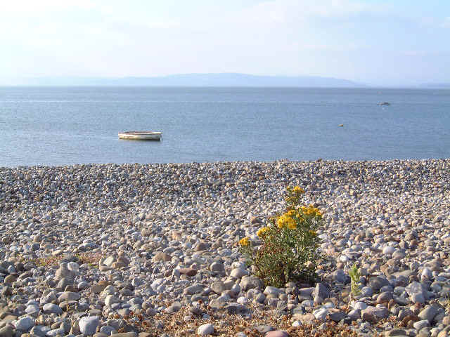 Beach.jpg (54296 bytes)