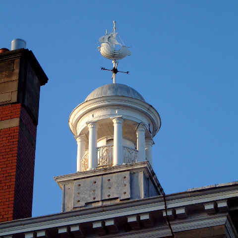 Cock.jpg (21375 bytes)