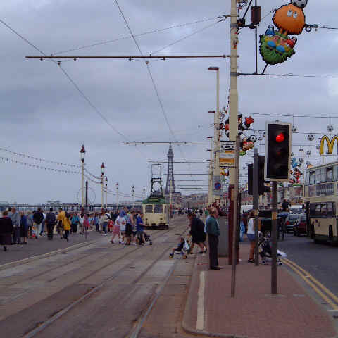 GoldenM.jpg (25324 bytes)