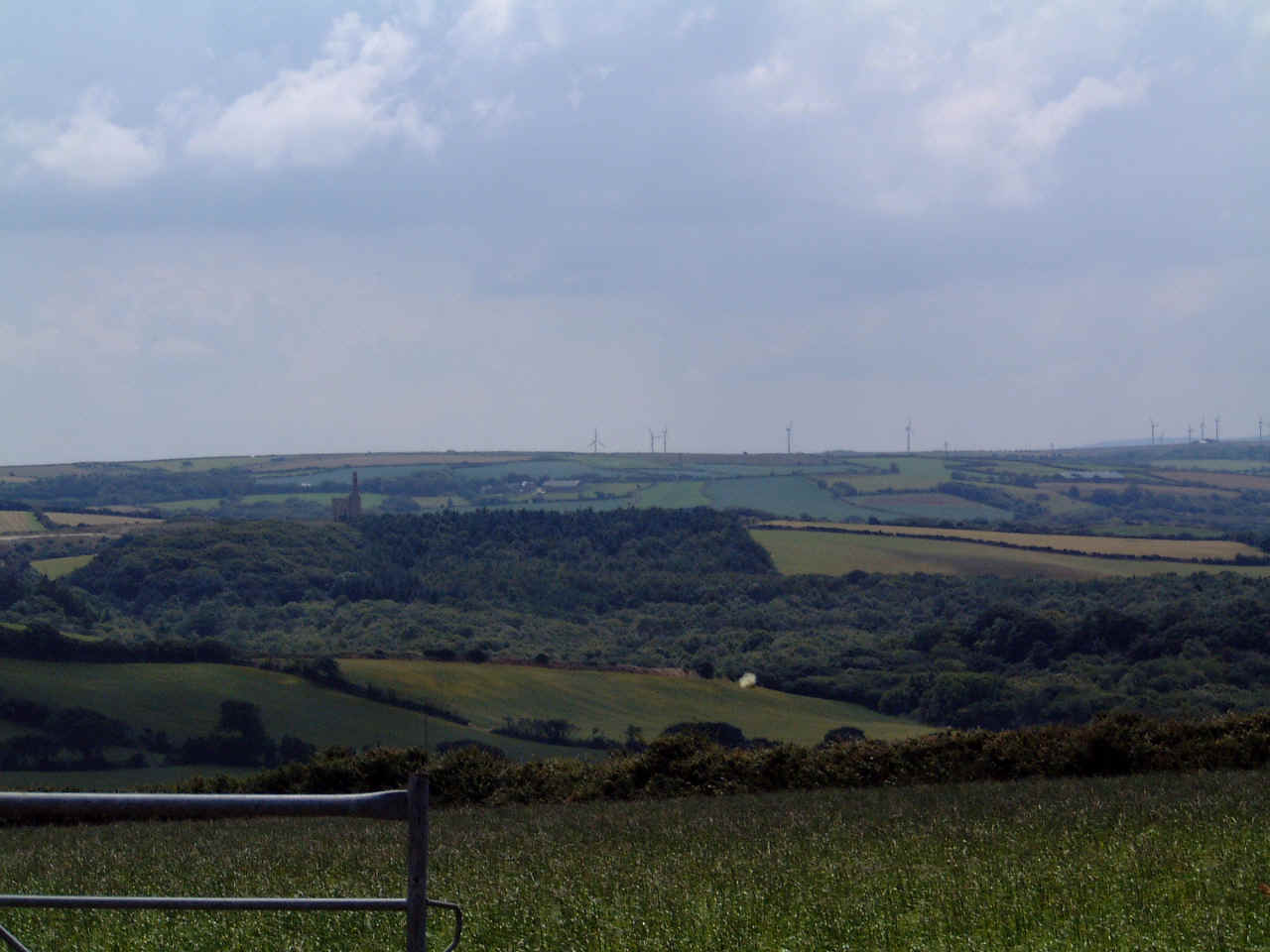 CropWindmills.jpg (84336 bytes)