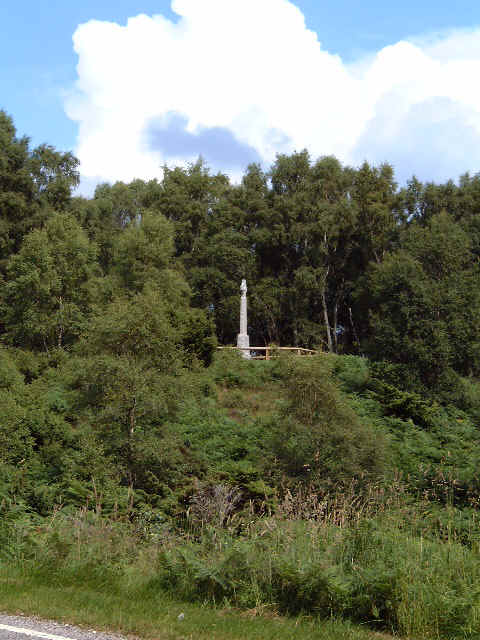 wpe3A.jpg (43910 bytes)