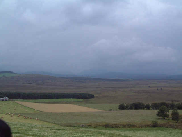 wpe3C.jpg (17356 bytes)