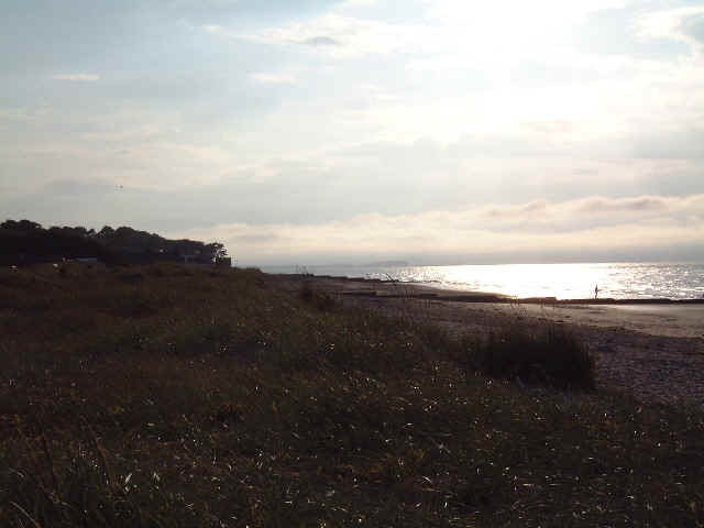 wpe46.jpg (21651 bytes)