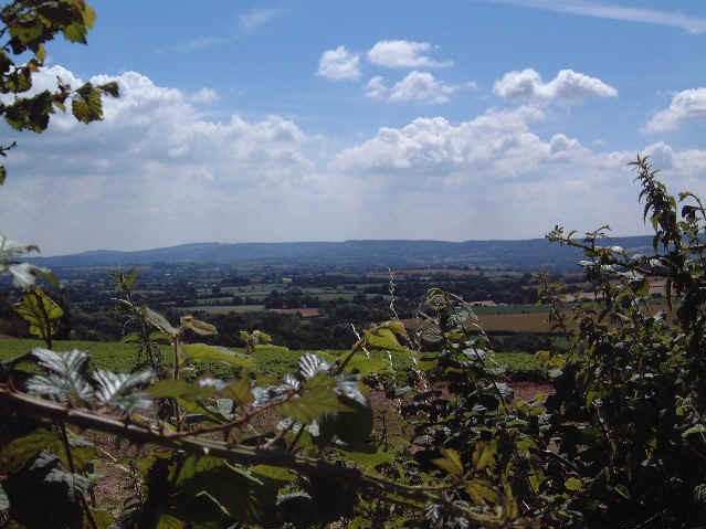 Mendips.jpg (63546 bytes)