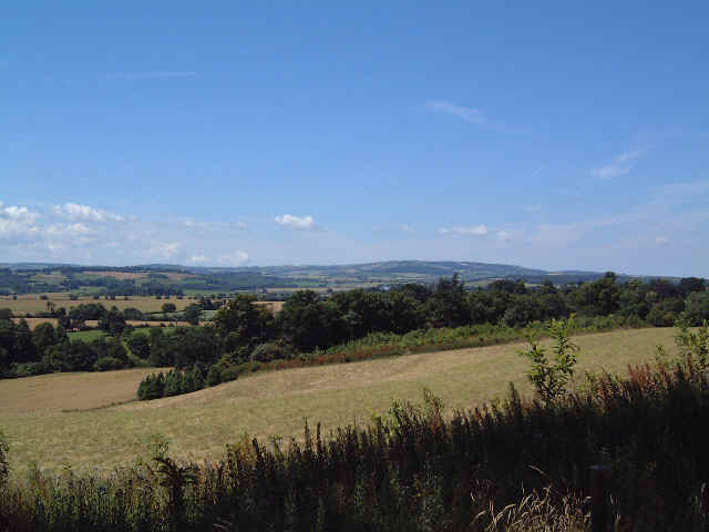 Quantocks1.jpg (26176 bytes)