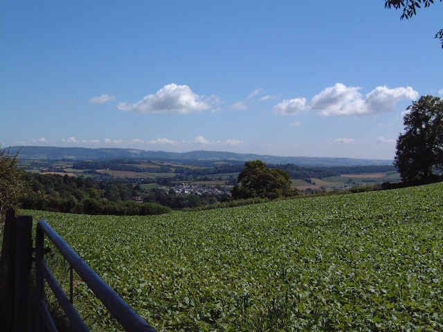 Quantocks2.jpg (38897 bytes)