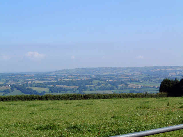 Field.jpg (27718 bytes)