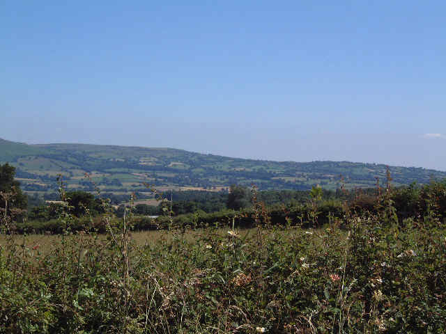 ACorveDale.jpg (39116 bytes)