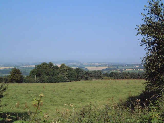Field.jpg (32790 bytes)