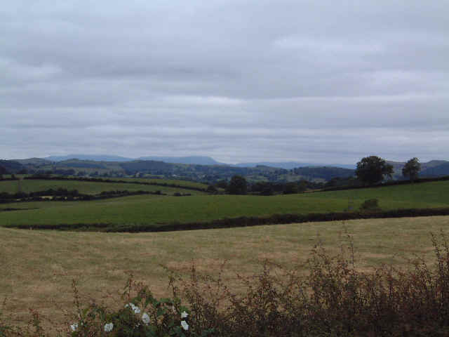 Flat.jpg (23468 bytes)